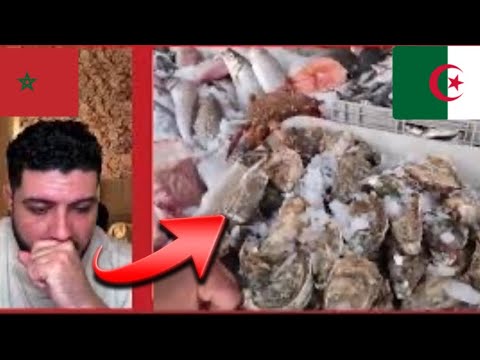 . مغربي يستهزأ بالجزاير:🇩🇿🇲🇦 “ما عندهمش الحوت!” 😡🐟