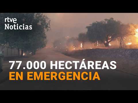 Cuatro provincias combaten incendios | RTVE Noticias
