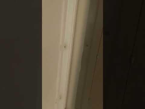 Jobs with Jason: Mini-Split Installation Planning🧰❄️