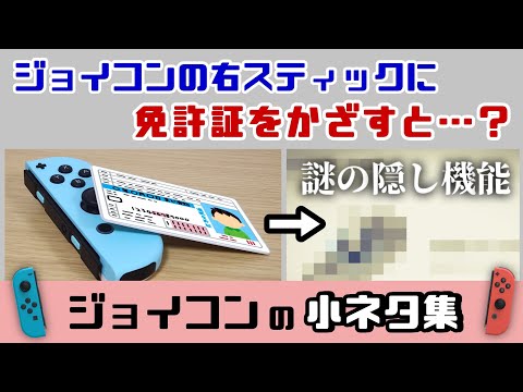 ジョイコンの右スティックに免許証をかざすと……謎の隠し機能が…！？Nintendo Switchのジョイコンに隠れた細かすぎる小ネタ集！【ニンテンドースイッチ／Switch2記念】@レウンGameTV