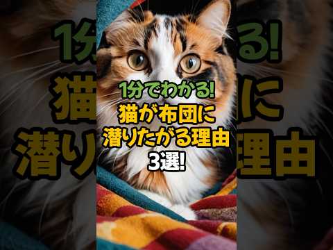 【寒い季節の秘密】猫が布団に潜りたがる理由3選!🐾1分で解説!