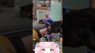 【烟花蹦蹦蹦】別跑！| 特戰英豪