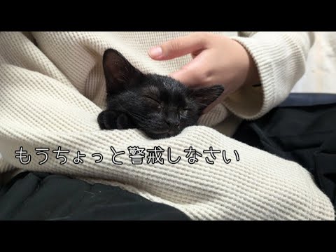 初対面の人に懐くのが早すぎたうなぎちゃん笑