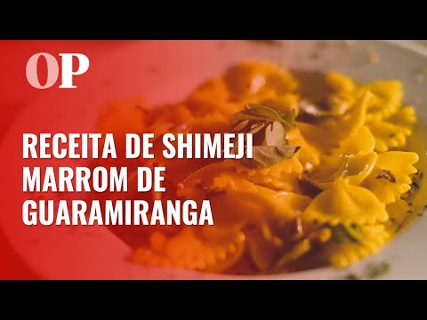 Ceará à Mesa #33: Shimeji Marrom de Guaramiranga | Comes & Bebes