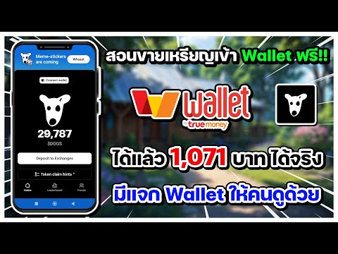 สอนขายเหรียญเข้าWalletฟรี!!