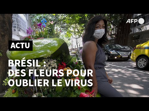 Brésil: des fleurs dans une Coccinelle pour oublier le virus | AFP