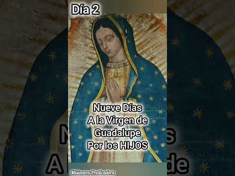 Virgen de Guadalupe Día 2 #oracionporloshijos #virgenmaria #viralvideo #video #virgendeguadalupe #fe