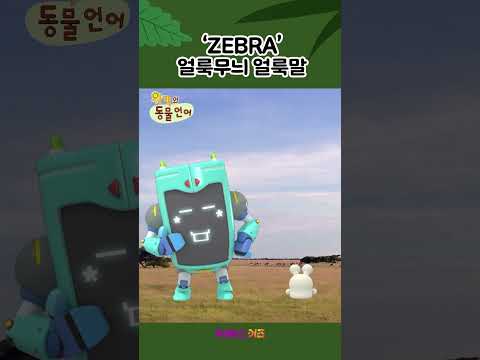 얼룩무늬를 가진 얼룩말ㅣZebraㅣ1분 <strong>영어</strong> 배우기ㅣ위키와 동물언어ㅣKBS <strong>방송</strong>