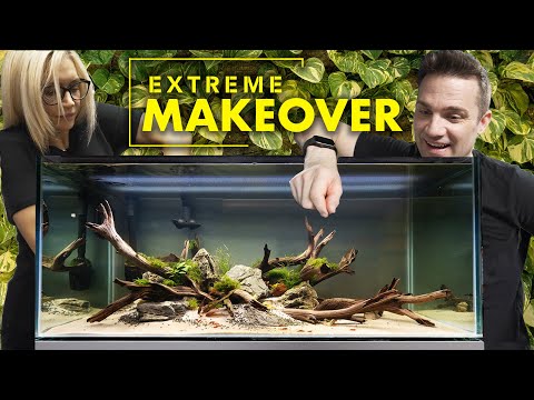 This MIGHT Be Our Best Aquarium Build YET! (Reuplo Aquarium Builders hits eastern Florida! This time we are at Nahacky's Aquarium, a 35 year old fish s
