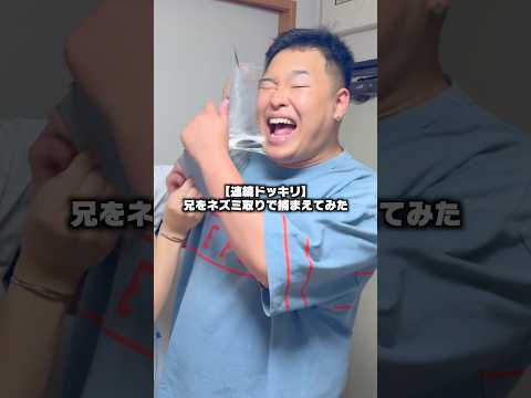 兄をネズミ取りで捕まえたら肌に引っ付いて取れなくなった#shorts