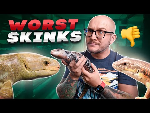 Top 5 WORST Pet Skinks! Get THESE Lizards Instead! Skinks can make amazing pet lizards but maybe stay away from these five skink species and pick these