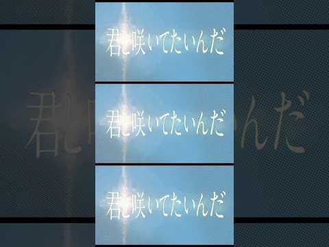 新曲「一輪」配信中💐TBS系日曜劇場「ＧＩＦＴ」挿入歌🌸ぜひお聴きください🎧 #リトグリ #日曜劇場ギフト