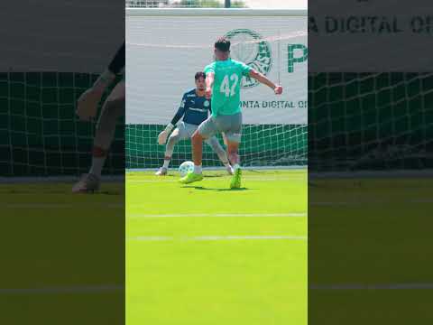 image para ilustrar o artigo