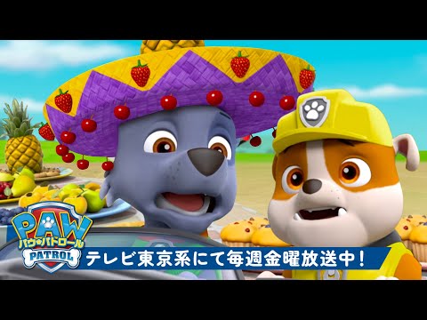 パウ・パトロール | ラブルとロッキーのベストチームワークレスキュー！パウ・パトロール、ケント、チェイスとズーマと一緒｜１時間 | テレビ東京系にて放送中