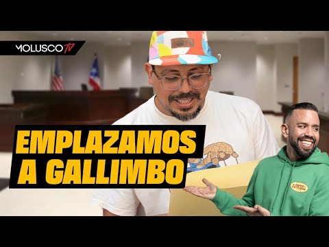 Gallimbo Studios emplazado por Toño Rosario y MoluscoTV. Molusco Reacciona