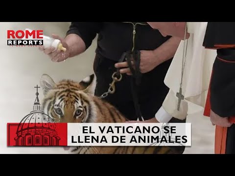 El Vaticano se llena de animales por san Antón