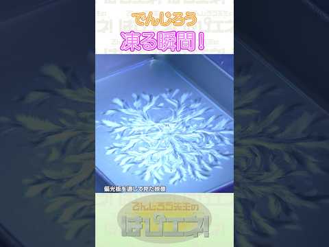 凍る瞬間！ #Shorts #でんじろう先生 #実験 #science #はぴエネ #科学