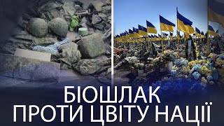 Демографічна диспропорція війни: Чому втрати Росії не зупиняють конфлікту