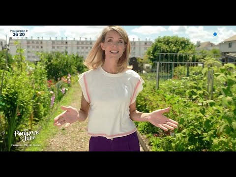 La fin des Carnets de Julie sur France 3 ? Julie Andrieu dévoile son lourd regret