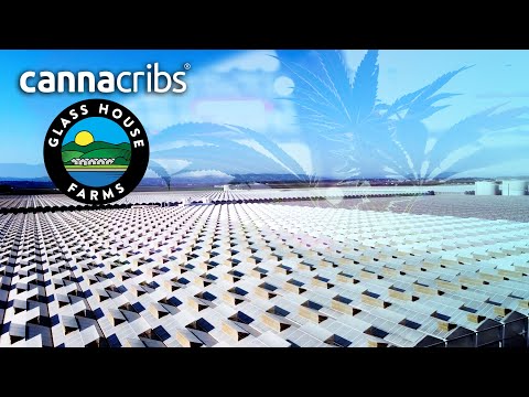 Largest High Tech Cannabis Green House in USA: Glass House Farms