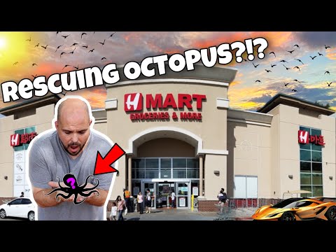 Rescuing Octopus From Food Market?!? Visit http_//www.freshwaterscrub.com/ and use code Octopus for 10% off until 11/28/2022! 

In today'