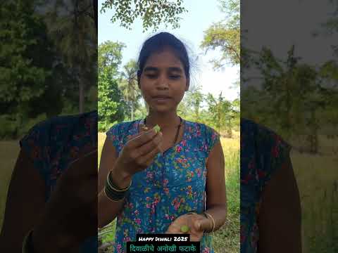 दिवाळीसाठी वनस्पतीचे अनोखी फटाके 🎉🎆 तुम्ही कधीच नाही पाहिले 🎇🎉happy diwali 2025 | short | short feed
