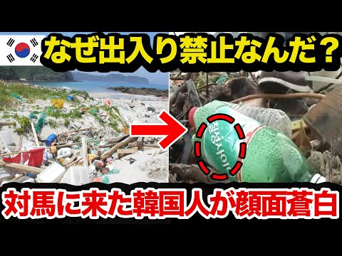 【海外の反応】「85%のゴミが隣国語…」隣国人観光客が日本で大暴れした結果…漂着するゴミのラベルを見て大発狂…【世界の反応ちゃんねる】