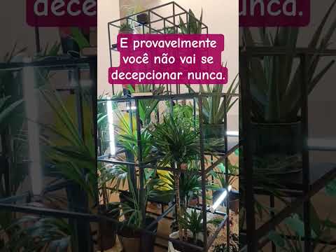 vai dá certo #motivacional #reflexão #deus #fe #shorts