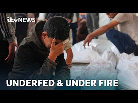 'We're ready to die for food': More Palestinians killed amid Gaza aid chaos | ITV News