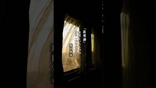 恋愛の魔法が解けてしまった、すべての大人の夜に。坂口安吾『恋愛論』 #shorts
