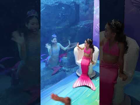 Mil jaye mane tu #love #music #song #newsong #punjabimusic #viralsong #video #viral #shorts #share