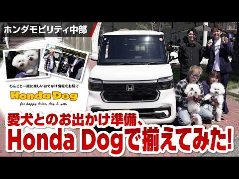 【Honda Dog】愛犬とのお出かけ準備、Honda Dogで揃えてみた！
