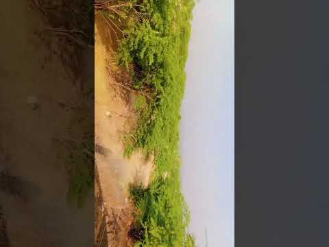 1 नवंबर 2025