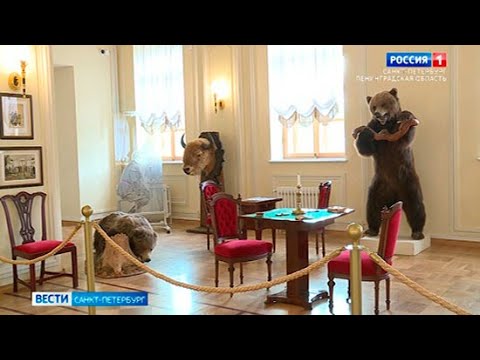 В Гатчине отреставрировали самый большой зал императорского дворца - Арсенальный