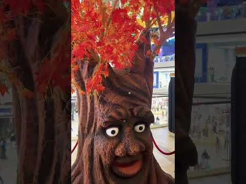 Marfa😁 #funny #comedy #love #dance #youtubeshorts #trending #viral #shorts