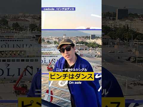 【AniTone Info #07】7月30日ライブ開催！cadodeのkoshiから新曲メッセージ🚢 #cadode #ピンチはダンス #music