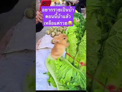 ชีวิตมีความหวังเสมอหวย