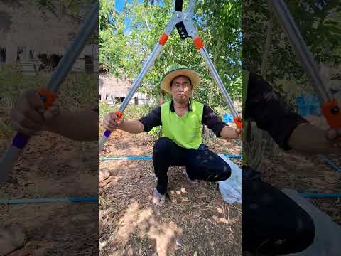 ใช้ดีคมตัดง่ายเบาเเรง.กรรไ