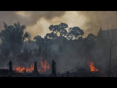Már több tűzeset volt a brazil esőerdőben, mint tavaly egész évben