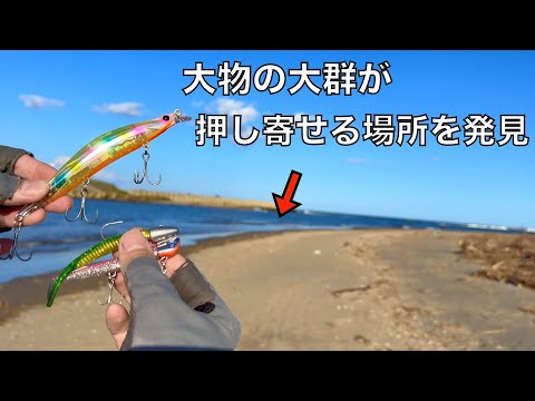 大物群れる「天然の釣り堀状態」の海にいろんなルアーを投げてみると‥