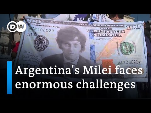 Milei: 'There is no alternative to shock treatment' | DW News