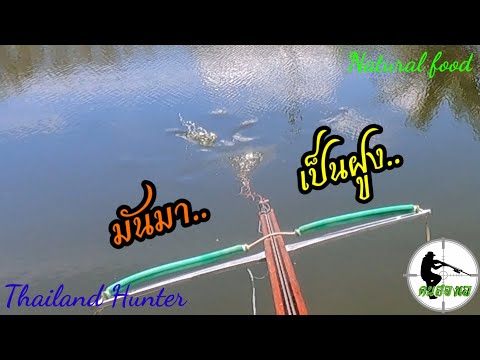#SHOOT-FISH-ยิงปลาเป็นฝูง-จะได #SHOOT-FISH-ยิงปลาเป็นฝูง-จะได
