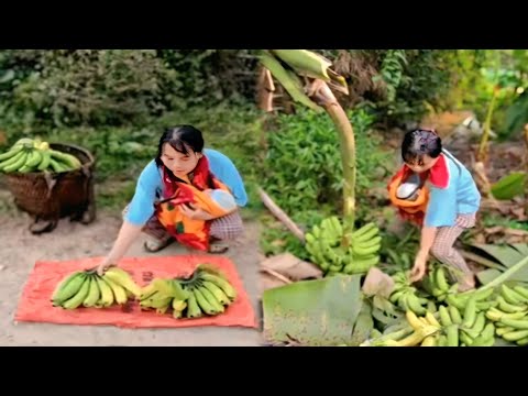 Single mother with small child harvests bananas to sell for daily survival