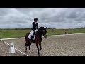 Dressage horse Nadir H - 4 jaar talentvol paard