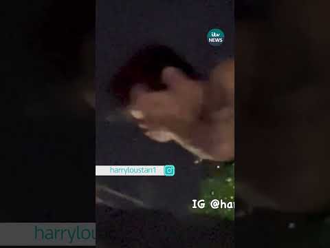 Harry Styles gets hit in the face onstage at Vienna concert #itvnews #news #harrystyles