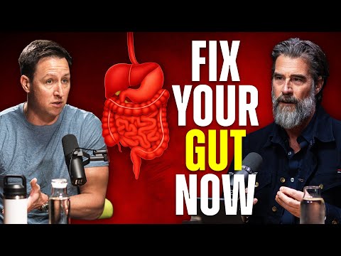 Gut Bacteria Diversity: Key to Cancer Treatment Success