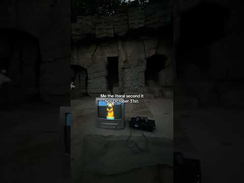 So excited for Halloween!!