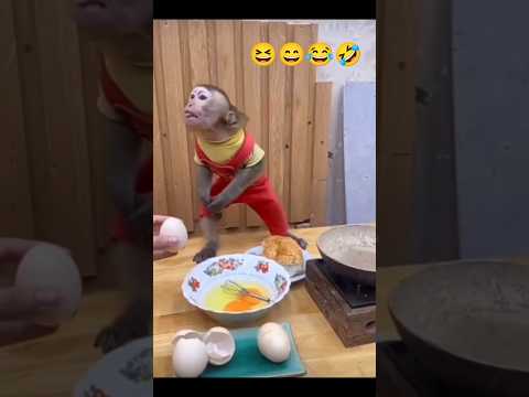 😄😂🤣😆#shorts #jayeeta #funny