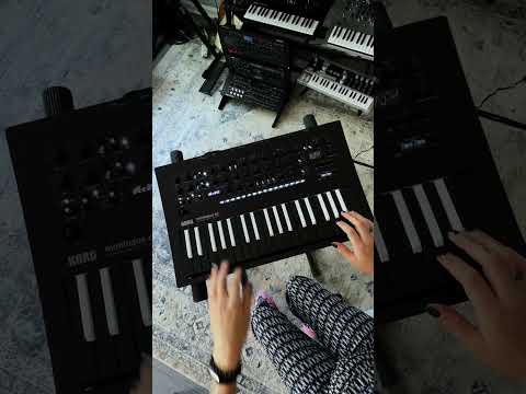 Mini Sound Demo: TerrorKeys Preset on minilogue xd Inverted