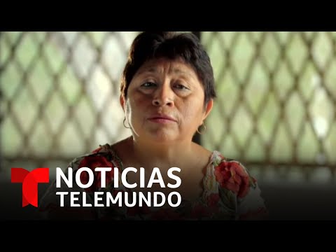 Leydy Pech, ‘la guardiana de las abejas’ en Yucatán | Noticias Telemundo